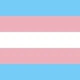 Trans forever (@shemales_foreve) 's Twitter Profile