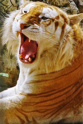 Leekyoungho74's profile picture. 