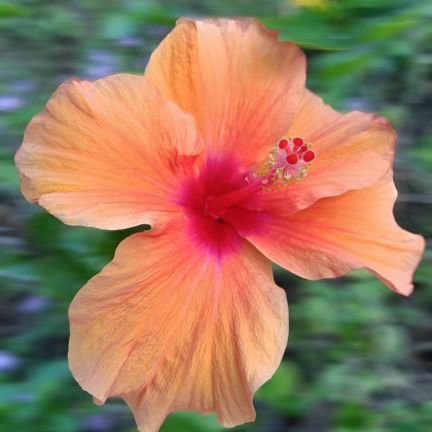 behelpfu's profile picture. learner