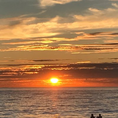 Ingrid_vanT's profile picture. 