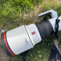 Phill Eddo (@philleddo) 's Twitter Profile