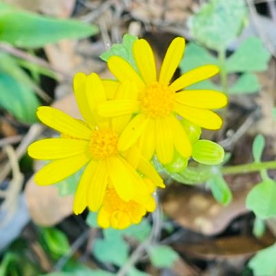 sunfunpalm84's profile picture. Living life and blessed