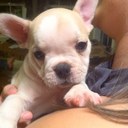 Caroline Ansley - @rebelhottie93 - Twitter