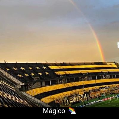 Hincha de Peñarol, MANYA a muerte, carbonero por todos lados 🖤💛🖤💛🖤💛