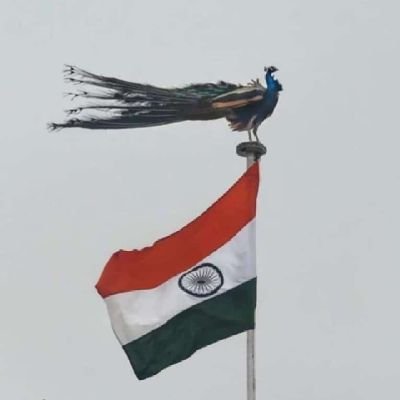 kiranparmar05's profile picture. महाकाली मेरी कुलदेवी है और महाकाल मेरे इष्ट