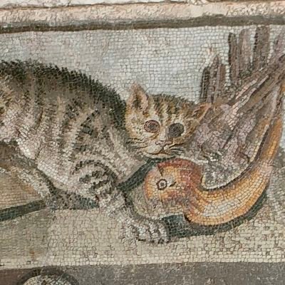 SalebHet's profile picture. 'Connard de progressiste'
Esport enjoyer
Hip-Hop
Dev
OL