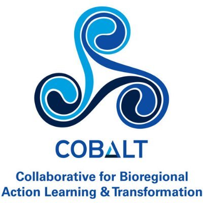 The Collaborative for Action Learning & Transformation. Follow us for learning journey updates and conversations about systems thinking and transformation.