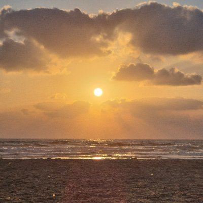 Rdseapedestrian's profile picture. #Palestine #israel #underattack