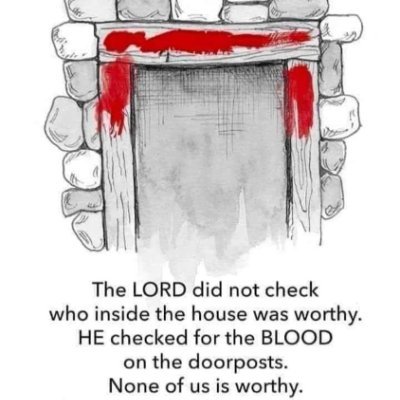 RayisAMERICA1st's profile picture. Proud American. Free thinker.