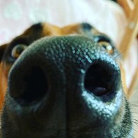 wowgameplay123 (@aixjoe) 's Twitter Profile