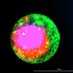 OU Oncology Science (@oncologyscience) Twitter profile photo OU Oncology Science (@oncologyscience) Twitter profile photo