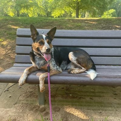 sherlocked2003's profile picture. 