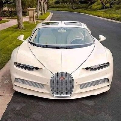 bdalrhm37424210's profile picture. 