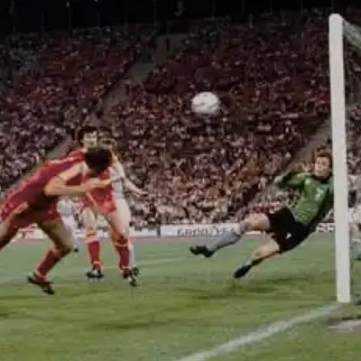 Forest300579's profile picture. #nffc since watching the 1979 European Cup Final on the box as a 10 year old kid 🌳🏆⭐️⭐️