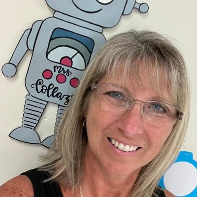 STEM Advocate|Picture Book Author|Retired Educator|Kenan Fellow|Proud mom of 3 sons|Married to super guy|Packers Fan #EmersynBlake 
https://t.co/O3VWNCNgBM