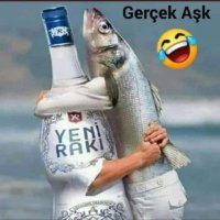 Kadir (@umutcan22403043) Twitter profile photo