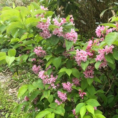 生きるのしんどい無能の社不。人間に向いてなかった。