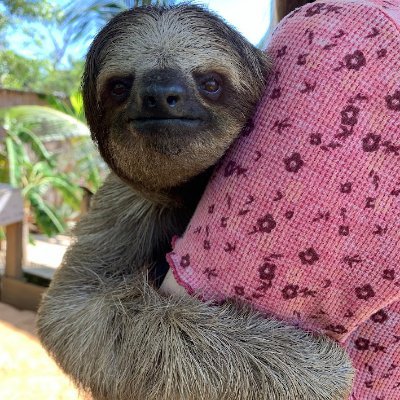 SmolEmily_'s profile picture. 