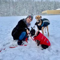 Tasha Wainstein (she/her) 🇿🇦🇨🇦 (@tashawainstein) 's Twitter Profile