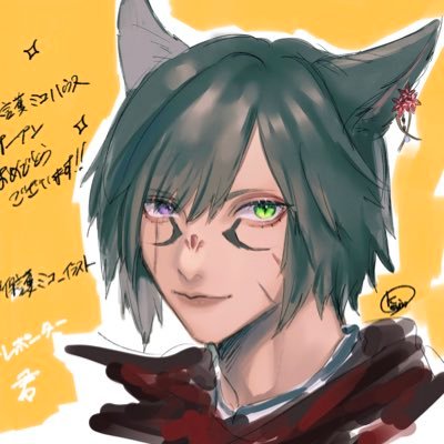 保護ミコハウスさんのプロフィール画像