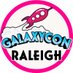 GalaxyCon Raleigh (@GalaxyConRDU) Twitter profile photo