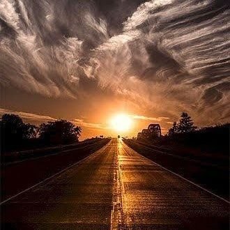 devid1302's profile picture. 