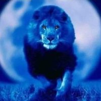 Lotta60(@Lotta_B60) 's Twitter Profile Photo Lotta60(@Lotta_B60) 's Twitter Profile Photo