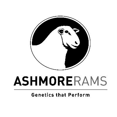 Ashmore Rams