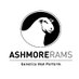 Ashmore Rams (@ashmorews) Twitter profile photo Ashmore Rams (@ashmorews) Twitter profile photo