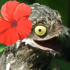 安倍川もちさんのプロフィール画像