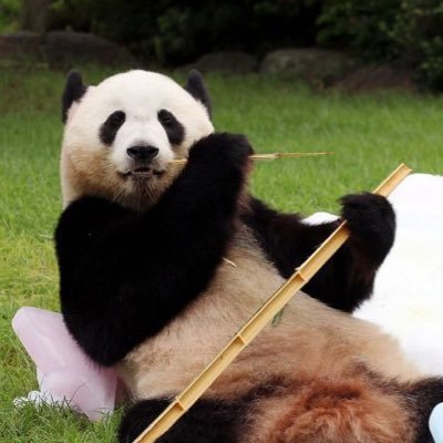 ひしたにビッツまさひろさんのプロフィール画像