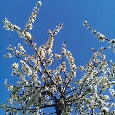 dddさんのプロフィール画像