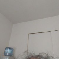 お馬の親子 (@s3203ox0l7xjcm2) 's Twitter Profile