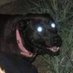 0mikr0N (@0mikr0nreality) Twitter profile photo 0mikr0N (@0mikr0nreality) Twitter profile photo