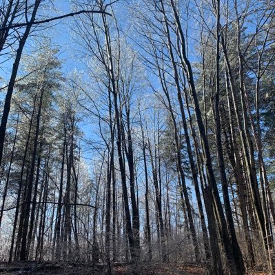 zach_castle's profile picture. f d t