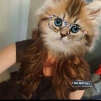 Jan (@pleasegoawaybye) 's Twitter Profile Photo Jan (@pleasegoawaybye) 's Twitter Profile Photo