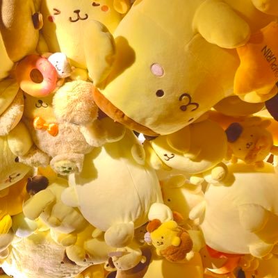 春音さんのプロフィール画像