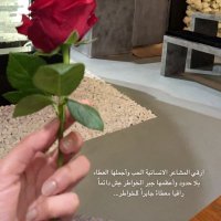 Haifa (@haifaal7arbi1) 's Twitter Profile