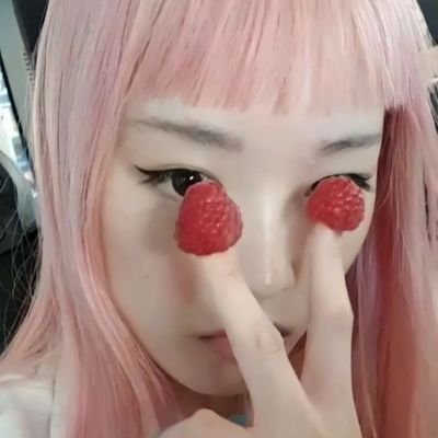 pinkpettit's profile picture. cherries and pink
(she/he)