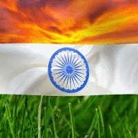 Haripra43140136's profile picture. 