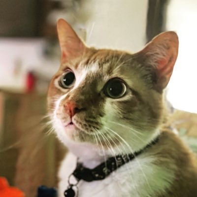 fletchuelse Profile Picture