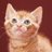 shikamura4ever's profile image