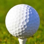 If you’ve ever showed up at a golf course without a full foursome and you were joined by some random golf single, it might have been me!