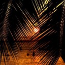 Brian Coy - @bmcphotography - Twitter