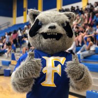 Raccoons Library(@RaccoonsLibrary) 's Twitter Profile Photo