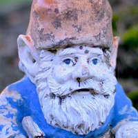A Garden Gnome(@someothercharac) 's Twitter Profile Photo