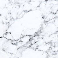 Carrara Marmor(@fweissen01) 's Twitter Profile Photo
