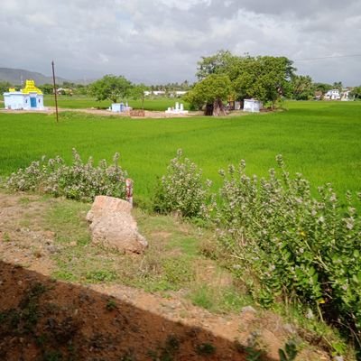 Subramaniangma6's profile picture. tirunelveli top 7.5 inch cock