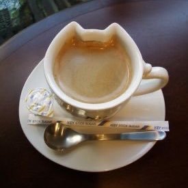 babescore_'s profile picture. 18 lol