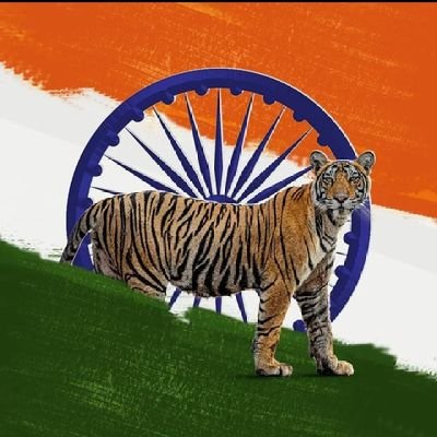 amagr335's profile picture. 